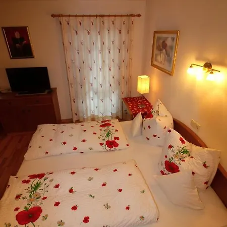 Daire Haus Puerner
