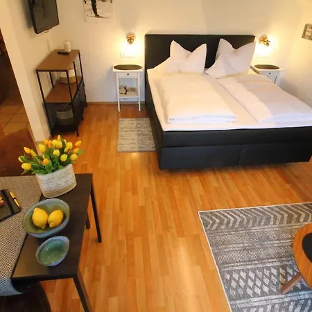 Haus Puerner 아파트 *